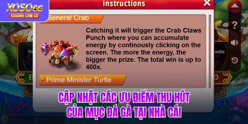 Cập nhật các ưu điểm thu hút của mục đá gà tại nhà cái